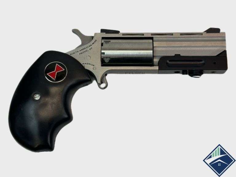 North American Arms  Black Widow Conversion  .22 WMR