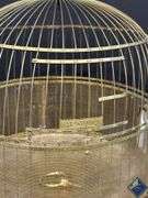 13” Brass Birdcage with Milk Glass Feeders