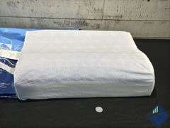 Sealy Cooling Gel Contour Memory Foam Pillow - Used