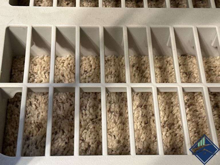 Plastic Storage Shelf *contents not included*come after 1*
