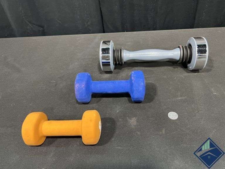 Shake Weights and Bell 5 & 8lb Weights
