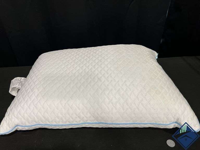 Sealy Down Alternative Pillow
