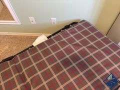 Coleman ComfortCare Collapsing Sleep Cot with Pad