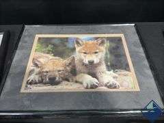Framed Prints