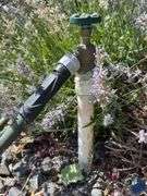 Garden Hose