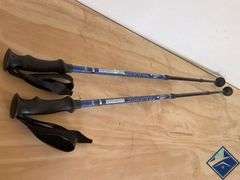 REI Traverse Treking Poles