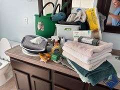 Bathroom Item Assortment