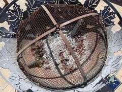 Metal Fire Pit with Removable Cover