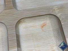 Sabatier Build A Board