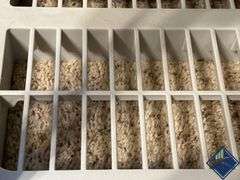Plastic Storage Shelf *contents not included*come after 1*