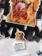 Happy Birthday Dog Themed Cake Topper - NEW