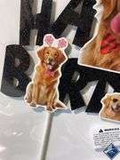 Happy Birthday Dog Themed Cake Topper - NEW