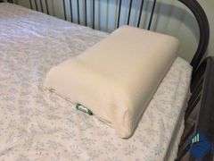 Metal Framed Trundle Twin Bed