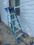 6ft Painter Ladder