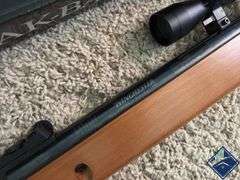 Winchester 1100WS .177 Pellet Gun