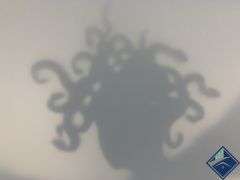 Medusa Art Shadow Box