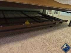 Metal Framed Trundle Twin Bed
