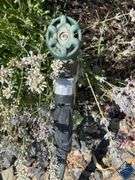 Garden Hose