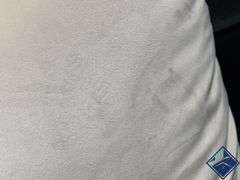 Studio Chic Throw Pillow