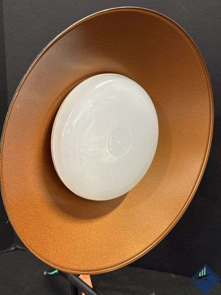 Outdoor Goose Neck Wall Light