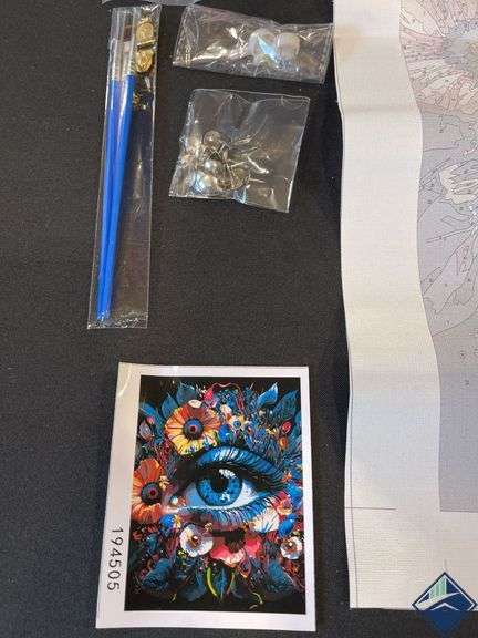 Paint-By-Number Flower & Eye Portrait    - Like New