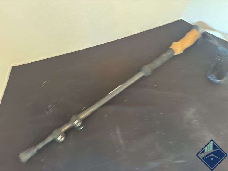 Cascade Mountain Tech Adjustable Hiking Stick