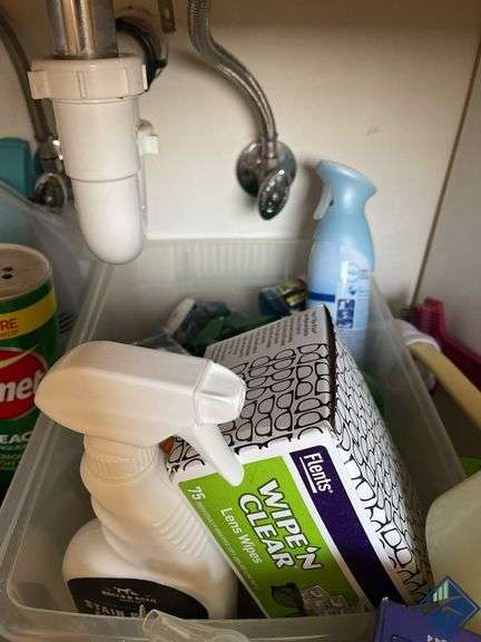 Toilet Cleaners, Febreze Spray, Face Wash, etc.