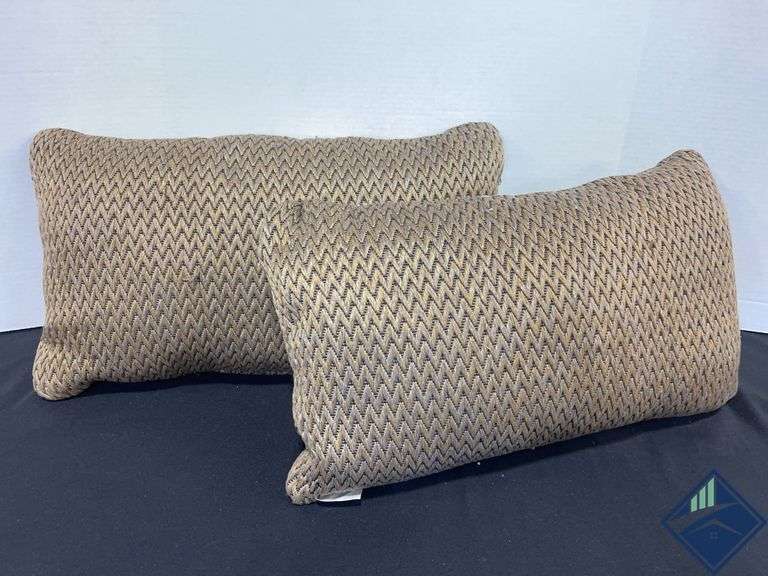 Decor Throw Pillow