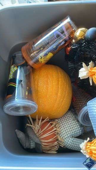 Fall & Pumpkin Themed Decor