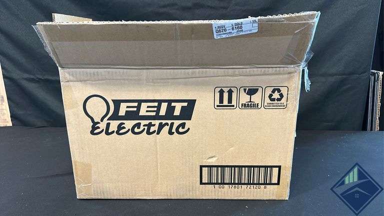 Feit Electric String Lights 48ft