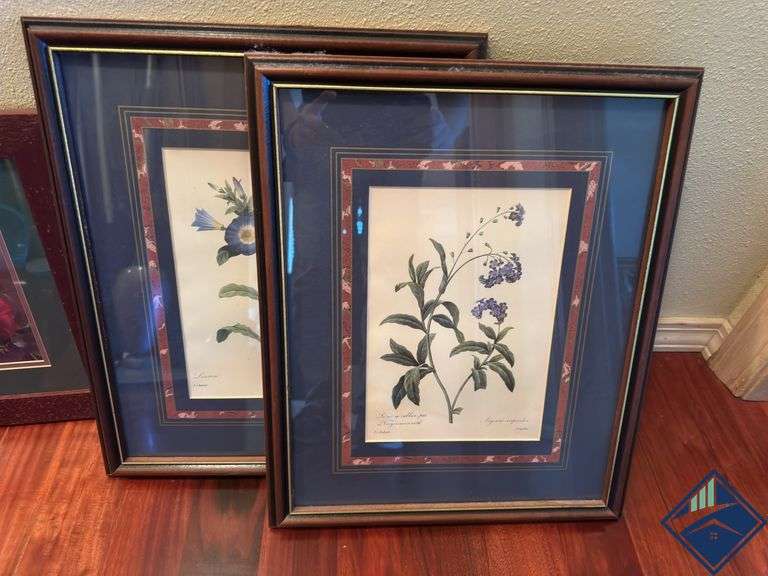 Assortment of Nature Artwork