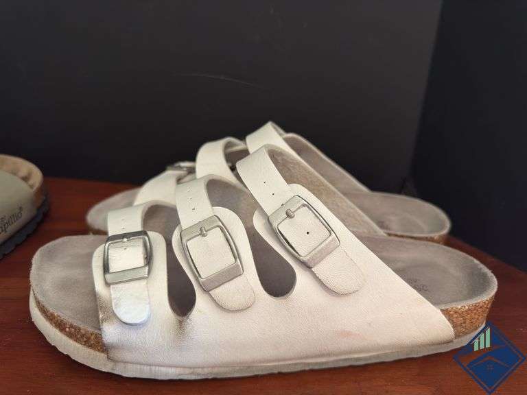 Papillo Size 40 & Guoluofel Size 40 Slides