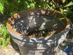 20” Flower Pot