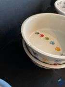 Pet Food & Water Bowls