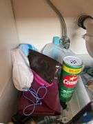 Toilet Cleaners, Febreze Spray, Face Wash, etc.