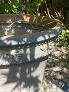 20” Flower Pot