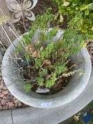 15” Concrete Pot with Decor