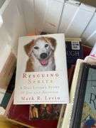 Self Help, Language & Children’s Books