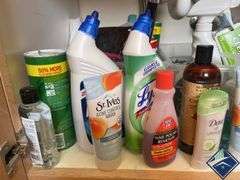 Toilet Cleaners, Febreze Spray, Face Wash, etc.