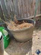 Half Wine Barrel, Pot, etc.