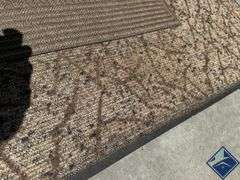 Front Door Mats