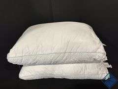 Sealy Down Alternative (2-Pack) 400 Thread Count Pillows