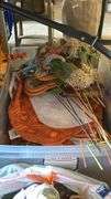 Fall & Thanksgiving Themed Decor