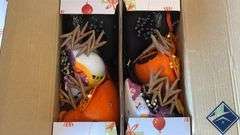 Halloween & Fall Decor