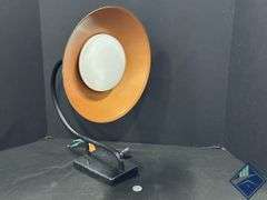 Outdoor Goose Neck Wall Light