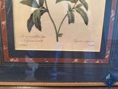Assortment of Nature Artwork