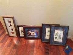 Assortment of Nature Artwork