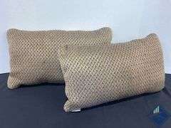 Decor Throw Pillow