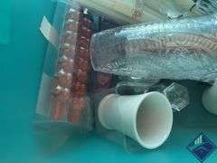 Glass Vase Collection