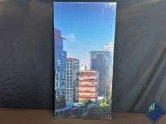 Sky Scrapers on Canvas - Like New